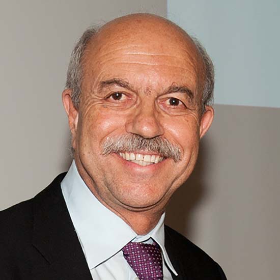 Professor Kyriacos Nicolaou FRS