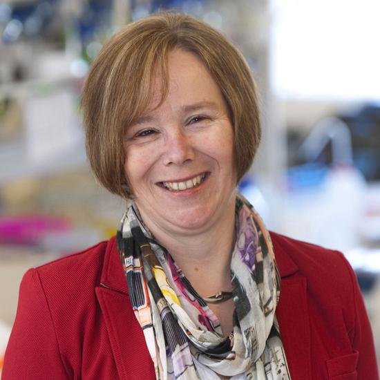 Professor Sheena Radford OBE FMedSci FRS