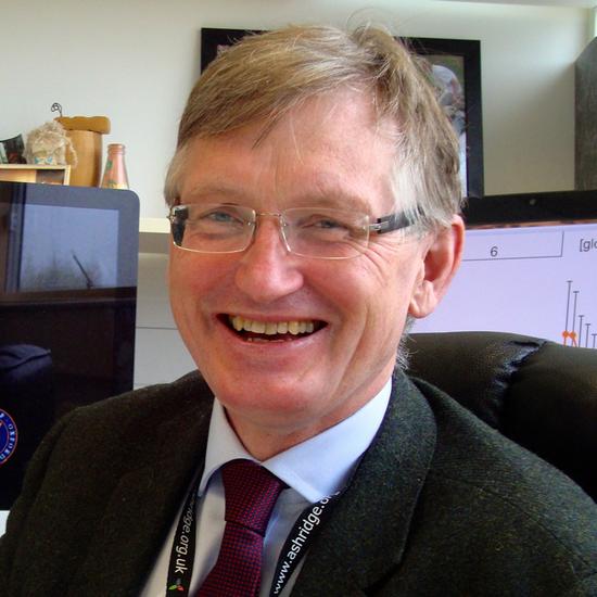 Professor Patrik Rorsman FMedSci FRS