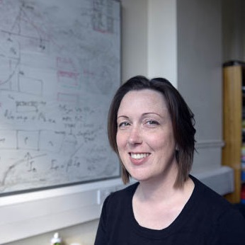 Professor Sheila Rowan CBE FRS