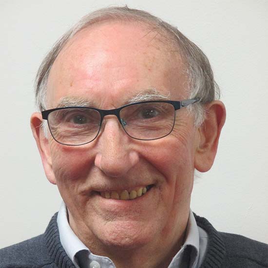 Professor Roger Sheldon FRS