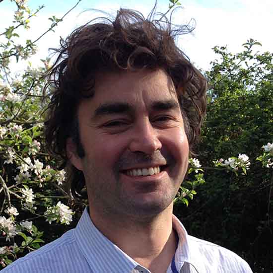 Professor Henry Snaith FRS