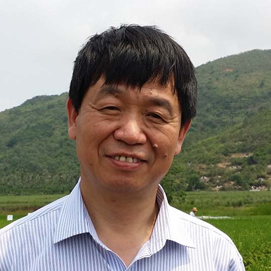Professor Jiayang Li FRS