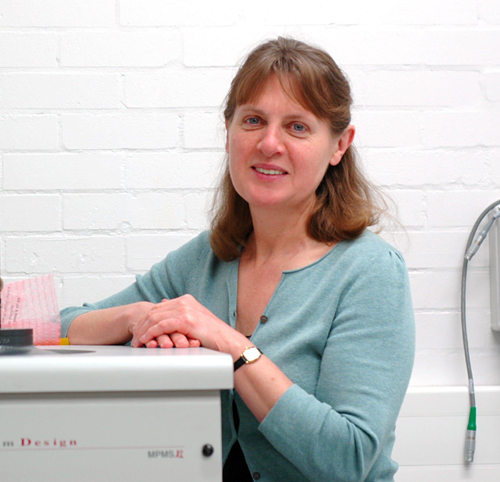 Professor Irina Grigorieva