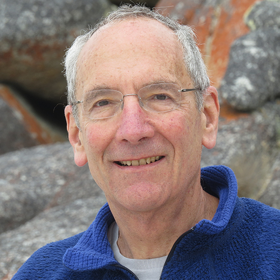 Professor Stafford Lightman FMedSci FRS