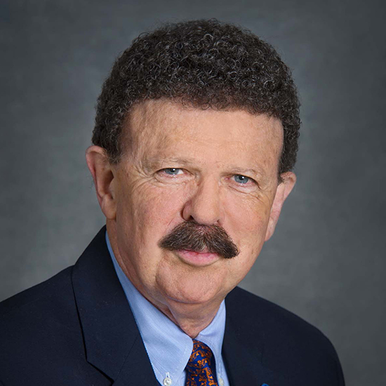 Professor Robert Ritchie FREng FRS