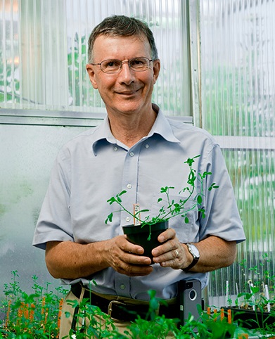 Professor Richard Dixon FRS