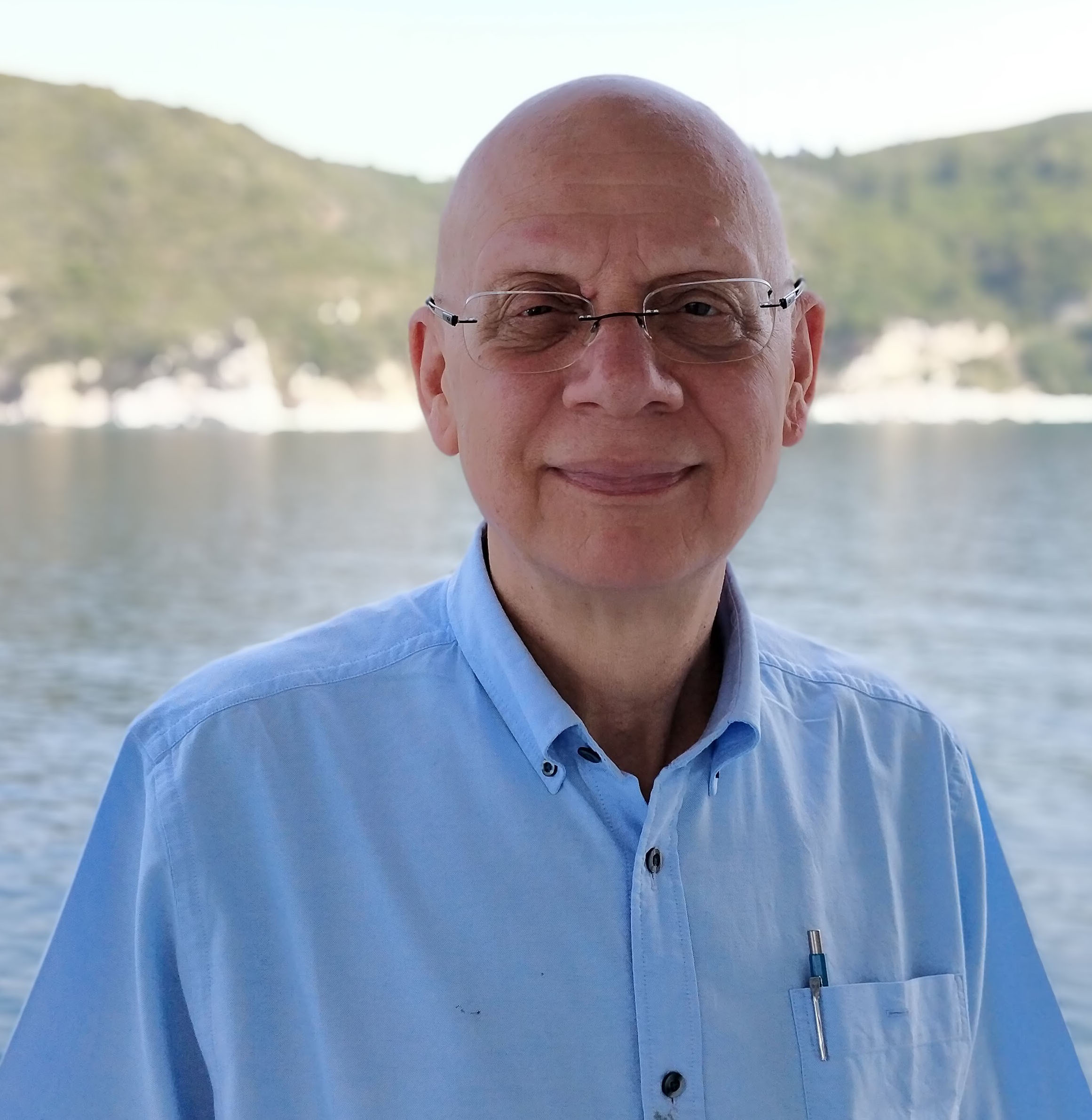 Dr Vassilis Pachnis FMedSci FRS