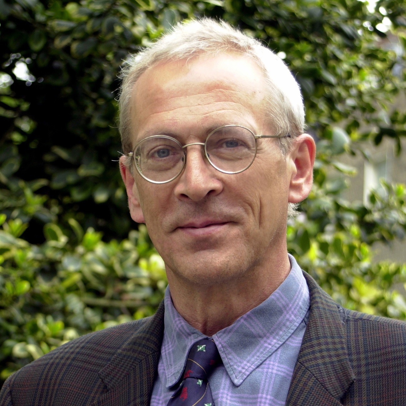 Professor Julian Peto FMedSci FRS