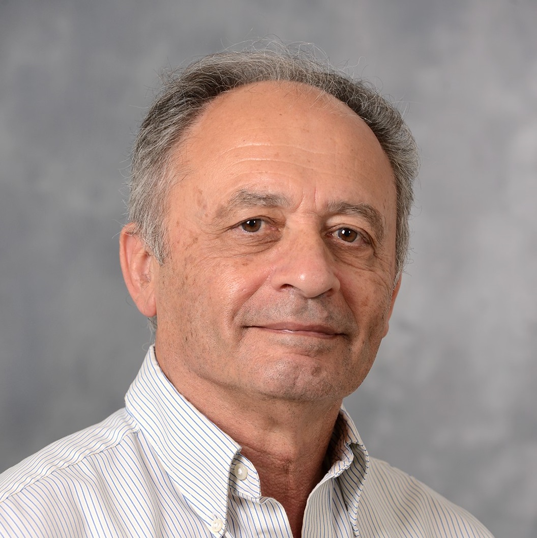 Professor David Milstein FRS