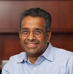 Professor Ramamoorthy Ramesh FRS