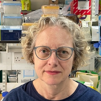 Professor Lizzy Fisher FMedSci FRS
